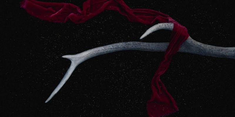 从零到一：深度解析CNI如何为Kubernetes打造高性能网络引擎