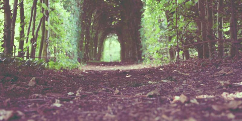 当工业脉搏遇上时间敏感网络：TSN如何为IIoT实时控制数据搭建确定性传输高速公路