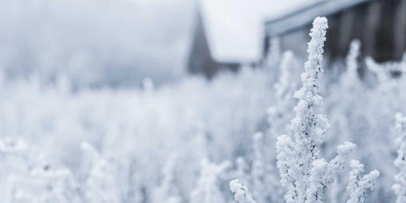网络切片技术:5G时代如何为不同业务场景定制专属虚拟网络